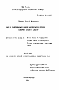 Ефремов, Виталий Андреевич. Сыск и политическая полиция самодержавной России: Ист.-правовой аспект: дис. кандидат юридических наук: 12.00.01 - Теория и история права и государства; история учений о праве и государстве. Санкт-Петербург. 1996. 192 с.