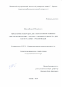 Шамов Евгений Михайлович. Технология и оборудование многослойной лазерной сварки неповоротных стыков труб большого диаметра для магистральных трубопроводов: дис. кандидат наук: 05.02.10 - Сварка, родственные процессы и технологии. ФГБОУ ВО «Московский государственный технический университет имени Н.Э. Баумана (национальный исследовательский университет)». 2019. 169 с.