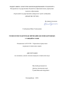 Слободянюк, Инна Геннадьевна. Технология макромоделирования железнодорожных станций и узлов: дис. кандидат наук: 05.22.08 - Управление процессами перевозок. Екатеринбург. 2018. 184 с.