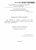 Бочинин, Анатолий Владимирович. Тема терроризма на страницах качественной прессы США: на примере газет "Вашингтон Пост", "Вашингтон Таймс" и "Нью-Йорк Таймс" в период с 2010 по 2014 гг.: дис. кандидат наук: 10.01.10 - Журналистика. Москва. 2015. 296 с.