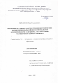 Переверзев Марк Владимирович. Теоретико-методологические основы формирования полифункциональной профессиональной компетентности будущих магистров в сфере гостиничного сервиса и туризма: дис. доктор наук: 00.00.00 - Другие cпециальности. ФГБОУ ВО «Чеченский государственный педагогический университет». 2022. 425 с.