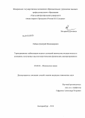 Лейман, Дмитрий Владимирович. Термодинамика стабилизации водных суспензий наночастиц оксидов железа и алюминия, получаемых высокоэнергетическим физическим диспергированием: дис. кандидат химических наук: 02.00.04 - Физическая химия. Екатеринбург. 2013. 176 с.