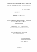 Козлова, Мария Алексеевна. Типология буддийских пагод Китая конца IV - начала X вв.: провинции Ганьсу, Шэньси, Хэнань, Шаньдун, Шаньси: дис. кандидат искусствоведения: 17.00.04 - Изобразительное и декоративно-прикладное искусство и архитектура. Москва. 2009. 182 с.