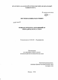 Юсупов, Камиль Маратович. Тонкая структура отражений от спорадического слоя Е: дис. кандидат физико-математических наук: 01.04.03 - Радиофизика. Казань. 2011. 141 с.