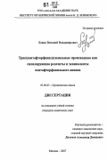 Левин, Виталий Владимирович. Трис(пентафторфенил)силильные производные как силилирующие реагенты и эквиваленты пентафторфенильного аниона: дис. кандидат химических наук: 02.00.03 - Органическая химия. Москва. 2007. 130 с.