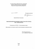 Лукина, Наталья Сергеевна. Тверские жители Коняевы в пространстве города. XVII - начало XX в.: дис. кандидат исторических наук: 07.00.02 - Отечественная история. Тверь. 2010. 273 с.