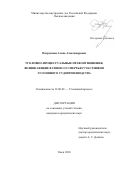 Патрушева Алена Александровна. Уголовно-процессуальные правоотношения, возникающие в связи со смертью участников уголовного судопроизводства: дис. кандидат наук: 12.00.09 - Уголовный процесс, криминалистика и судебная экспертиза; оперативно-розыскная деятельность. ФГКОУ ВО «Омская академия Министерства внутренних дел Российской Федерации». 2020. 257 с.