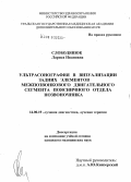 Слободянюк, Лариса Ивановна. Ультрасонография в визуализации задних элементов межпозвонкового двигательного сегмента поясничного отдела позвоночника: дис. кандидат медицинских наук: 14.00.19 - Лучевая диагностика, лучевая терапия. Москва. 2005. 124 с.