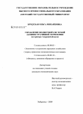 Бродская, Ольга Михайловна. Управление бюджетной системой административной территории: на примере Амурской области: дис. кандидат экономических наук: 08.00.05 - Экономика и управление народным хозяйством: теория управления экономическими системами; макроэкономика; экономика, организация и управление предприятиями, отраслями, комплексами; управление инновациями; региональная экономика; логистика; экономика труда. Хабаровск. 2009. 240 с.