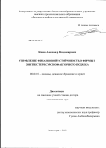 Киров, Александр Владимирович. Управление финансовой устойчивостью фирмы в контексте ресурсно-факторного подхода: дис. доктор экономических наук: 08.00.10 - Финансы, денежное обращение и кредит. Волгоград. 2012. 376 с.