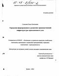 Селихова, Олеся Евгеньевна. Управление формированием и развитием производственной инфраструктуры промышленного узла: дис. кандидат экономических наук: 08.00.05 - Экономика и управление народным хозяйством: теория управления экономическими системами; макроэкономика; экономика, организация и управление предприятиями, отраслями, комплексами; управление инновациями; региональная экономика; логистика; экономика труда. Брянск. 2002. 211 с.