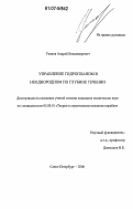 Уланов, Андрей Владимирович. Управление гидропланом в неоднородном по глубине течении: дис. кандидат технических наук: 05.08.01 - Теория корабля и строительная механика. Санкт-Петербург. 2006. 170 с.