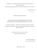 Ижевский, Владислав Леонидович. Управление консолидационными процессами в промышленных корпоративных бизнес-структурах: дис. кандидат наук: 08.00.05 - Экономика и управление народным хозяйством: теория управления экономическими системами; макроэкономика; экономика, организация и управление предприятиями, отраслями, комплексами; управление инновациями; региональная экономика; логистика; экономика труда. Магнитогорск. 2018. 204 с.