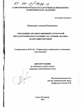 Воеводкин, Алексей Евгеньевич. Управление организационной структурой металлургического холдинга на основе анализа налоговых потоков: дис. кандидат экономических наук: 05.13.10 - Управление в социальных и экономических системах. Санкт-Петербург. 1999. 178 с.