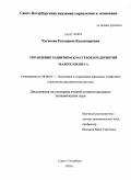 Чугунова, Екатерина Владимировна. Управление развитием кластеров предприятий малого бизнеса: дис. кандидат экономических наук: 08.00.05 - Экономика и управление народным хозяйством: теория управления экономическими системами; макроэкономика; экономика, организация и управление предприятиями, отраслями, комплексами; управление инновациями; региональная экономика; логистика; экономика труда. Санкт-Петербург. 2010. 192 с.