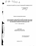 Ковалев, Александр Вячеславович. Управление развитием региональной системы начального профессионального образования: На примере Оренбургской области: дис. кандидат педагогических наук: 13.00.01 - Общая педагогика, история педагогики и образования. Оренбург. 2000. 203 с.