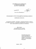 Гарин, Олег Владимирович. Управление реструктуризацией лесопромышленного комплекса региона: дис. кандидат экономических наук: 08.00.05 - Экономика и управление народным хозяйством: теория управления экономическими системами; макроэкономика; экономика, организация и управление предприятиями, отраслями, комплексами; управление инновациями; региональная экономика; логистика; экономика труда. Ижевск. 2009. 157 с.