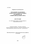 Бодренков, Антон Валерьевич. Управление снабжением в многоотраслевом холдинге: на примере ХК "Сибирский деловой союз": дис. кандидат экономических наук: 08.00.05 - Экономика и управление народным хозяйством: теория управления экономическими системами; макроэкономика; экономика, организация и управление предприятиями, отраслями, комплексами; управление инновациями; региональная экономика; логистика; экономика труда. [Москва]. 2013. 186 с.