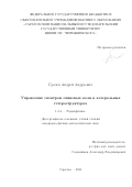 Грачев Андрей Андреевич. Управление спектром спиновых волн в латеральных гетероструктурах: дис. кандидат наук: 00.00.00 - Другие cпециальности. ФГБОУ ВО «Саратовский национальный исследовательский государственный университет имени Н. Г. Чернышевского». 2021. 117 с.