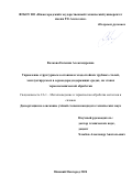 Волкова Евгения Александровна. Управление структурным состоянием хладостойких трубных сталей, эксплуатируемых в сероводородсодержащих средах, на этапах термомеханической обработки: дис. кандидат наук: 00.00.00 - Другие cпециальности. ФГБОУ ВО «Нижегородский государственный технический университет им. Р.Е. Алексеева». 2024. 136 с.