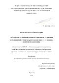 Шальнев Олег Геннадьевич. Управление устойчивым инновационным развитием предприятий строительного комплекса в условиях цифровой экономики: дис. доктор наук: 08.00.05 - Экономика и управление народным хозяйством: теория управления экономическими системами; макроэкономика; экономика, организация и управление предприятиями, отраслями, комплексами; управление инновациями; региональная экономика; логистика; экономика труда. ФГБОУ ВО «Воронежский государственный технический университет». 2022. 318 с.