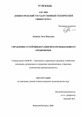 Люшина, Элла Юрьевна. Управление устойчивым развитием промышленного предприятия: дис. кандидат экономических наук: 08.00.05 - Экономика и управление народным хозяйством: теория управления экономическими системами; макроэкономика; экономика, организация и управление предприятиями, отраслями, комплексами; управление инновациями; региональная экономика; логистика; экономика труда. Нижний Новгород. 2006. 137 с.