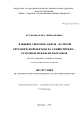 Бухарова Вера Геннадьевна. Влияние генотипа коров-матерей герефордской породы на хозяйственно-полезные признаки потомков: дис. кандидат наук: 06.02.07 - Разведение, селекция и генетика сельскохозяйственных животных. ФГБОУ ВО «Оренбургский государственный аграрный университет». 2016. 143 с.