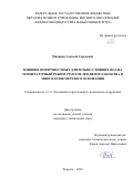 Макаров Алексей Сергеевич. Влияние поверхностных длительно стоящих вод на температурный режим грунтов земляного полотна и многолетнемерзлого основания: дис. кандидат наук: 00.00.00 - Другие cпециальности. ФГБОУ ВО «Тюменский индустриальный университет». 2023. 156 с.