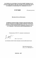 Щегринец, Наталья Викторовна. Влияние репродукции семян на биологические, декоративные и хозяйственно ценные признаки сортов астры однолетней (Callistephus chinensis (L.)Nees) в условиях Ставропольской возвышенности: дис. кандидат сельскохозяйственных наук: 06.01.05 - Селекция и семеноводство. Москва. 2007. 169 с.