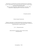 Тягунов Андрей Геннадьевич. Влияние структурного состояния жаропрочных никелевых расплавов на технологические параметры производства, структурно-фазовую стабильность и функциональные свойства изделий: дис. доктор наук: 00.00.00 - Другие cпециальности. ФГАОУ ВО «Уральский федеральный университет имени первого Президента России Б.Н. Ельцина». 2024. 301 с.