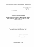 Капустин, Александр Сергеевич. Влияние турбулентного перемешивания на критическое поведение в присутствии сжимаемости: дис. кандидат наук: 01.04.02 - Теоретическая физика. Санкт-Петербург. 2014. 98 с.