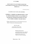 Балакина, Анастасия Александровна. Влияние условий культивирования in vitro на морфогенные процессы и активность ферментов антиоксидантной системы в растениях люпина узколистного: дис. кандидат биологических наук: 03.01.06 - Биотехнология (в том числе бионанотехнологии). Черноголовка. 2012. 140 с.