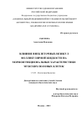 Сысоева Анастасия Павловна. Влияние внеклеточных везикул фолликулярной жидкости на морфофункциональные характеристики мужских половых клеток: дис. кандидат наук: 00.00.00 - Другие cпециальности. ФГБНУ «Российский научный центр хирургии имени академика Б.В. Петровского». 2023. 141 с.