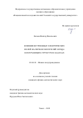 Копьев Виктор Васильевич. Влияние встроенных электрических полей на перенос носителей заряда в излучающих структурах InGaN/GaN: дис. кандидат наук: 01.04.10 - Физика полупроводников. ФГАОУ ВО «Национальный исследовательский Томский государственный университет». 2019. 126 с.