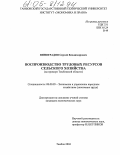 Виноградов, Сергей Владимирович. Воспроизводство трудовых ресурсов сельского хозяйства: На примере Тамбовской области: дис. кандидат экономических наук: 08.00.05 - Экономика и управление народным хозяйством: теория управления экономическими системами; макроэкономика; экономика, организация и управление предприятиями, отраслями, комплексами; управление инновациями; региональная экономика; логистика; экономика труда. Тамбов. 2004. 159 с.