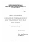 Мартынюк, Татьяна Дмитриевна. Возбудители грибных болезней кукурузы в Приморском крае: дис. кандидат биологических наук: 06.01.11 - Защита растений. п. Тимирязевский. 2002. 160 с.