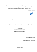 Гусаров Роман Николаевич. Воздействие волн цунами на портовые гидротехнические сооружения: дис. кандидат наук: 00.00.00 - Другие cпециальности. ФГБОУ ВО «Национальный исследовательский Московский государственный строительный университет». 2024. 207 с.