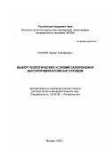 Кочкин, Борис Тимофеевич. Выбор геологических условий захоронения высокорадиоактивных отходов: дис. доктор геолого-минералогических наук: 25.00.36 - Геоэкология. Москва. 2002. 224 с.