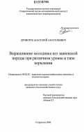 Контрольная работа по теме Выращивание сельскохозяйственных животных