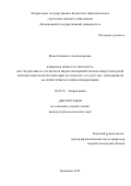 Мона Елизавета Александровна. Языковая личность террориста (исследование на материале видеообращений членов международной террористической организации Исламское государство, запрещенной на территории Российской Федерации): дис. кандидат наук: 10.02.19 - Теория языка. ФГБОУ ВО «Кемеровский государственный университет». 2019. 123 с.