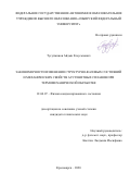 Тусупжанов Айдын Елеусызович. Закономерности изменения структурно-фазовых состояний и механических свойств аустенитных сплавов при термомеханической обработке: дис. кандидат наук: 01.04.07 - Физика конденсированного состояния. ФГБОУ ВО Сибирский государственный индустриальный университет. 2021. 123 с.