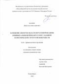 Базлов Вячеслав Александрович. Замещение дефектов области вертлужной впадины индивидуальными имплантатами с заданной геометрической структурой поверхности: дис. кандидат наук: 00.00.00 - Другие cпециальности. ФГБУ «Новосибирский научно-исследовательский институт травматологии и ортопедии им. Я.Л. Цивьяна» Министерства здравоохранения Российской Федерации. 2022. 134 с.