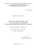 Родькина Анна Владимировна. Защита корпусных конструкций судов и плавучих технических сооружений от локальных коррозионно-механических разрушений: дис. кандидат наук: 05.08.03 - Проектирование и конструкция судов. ФГБОУ ВО «Нижегородский государственный технический университет им. Р.Е. Алексеева». 2019. 177 с.