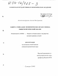 Александрова, Анна Петровна. Защита социально-экономических прав и свобод: Общетеоретический анализ: дис. кандидат юридических наук: 12.00.01 - Теория и история права и государства; история учений о праве и государстве. Самара. 2002. 220 с.