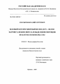 Скосырев, Виталий Сергеевич. Зеленый флуоресцентный белок (GFP) - белок-партнер для биосинтеза и выделения пептидов из клеток Escherichia coli: дис. кандидат биологических наук: 03.00.03 - Молекулярная биология. Пущино. 2005. 122 с.