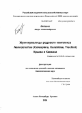 Белоусов, Игорь Александрович. Жуки-жужелицы родового комплекса Nannotrechus (Coleoptera, Carabidae, Trechini) Крыма и Кавказа: дис. кандидат биологических наук: 03.00.09 - Энтомология. Санкт-Петербург - Пушкин. 2008. 226 с.